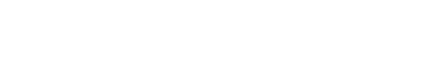 BVTech LLC